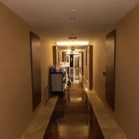 Διαμέρισμα Royal Vip 75m 1 Bedroom Near By Taksim Square Κωνσταντινούπολη